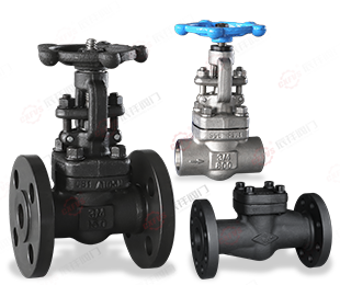 锻钢阀门系列